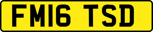 FM16TSD
