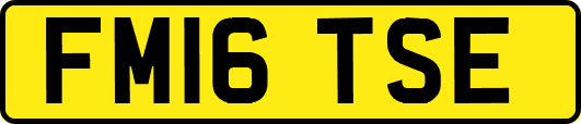 FM16TSE