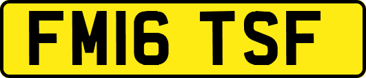 FM16TSF
