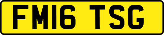 FM16TSG