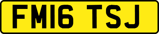 FM16TSJ