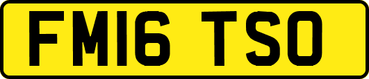 FM16TSO