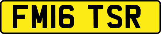 FM16TSR
