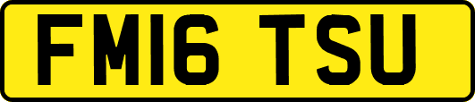 FM16TSU