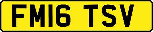 FM16TSV