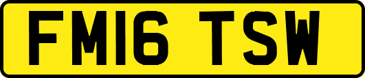 FM16TSW