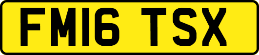 FM16TSX