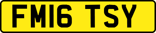 FM16TSY