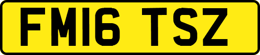 FM16TSZ