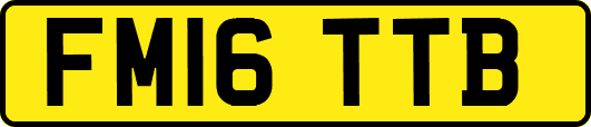 FM16TTB