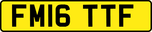 FM16TTF