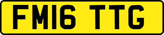 FM16TTG