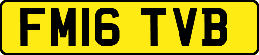 FM16TVB