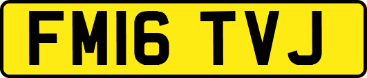 FM16TVJ