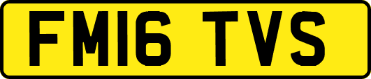 FM16TVS