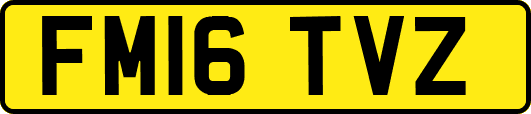 FM16TVZ