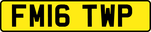 FM16TWP