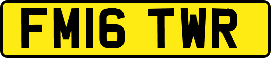 FM16TWR