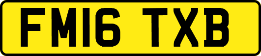 FM16TXB