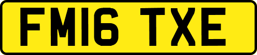 FM16TXE