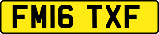 FM16TXF