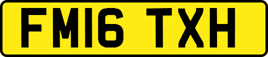 FM16TXH