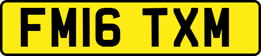 FM16TXM
