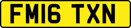 FM16TXN