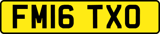 FM16TXO