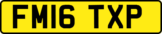 FM16TXP