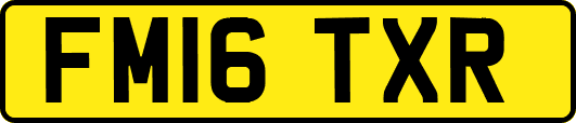 FM16TXR