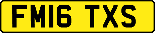 FM16TXS