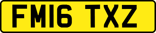 FM16TXZ