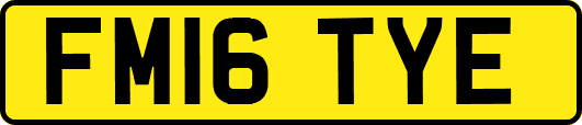 FM16TYE