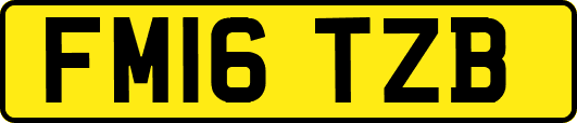 FM16TZB