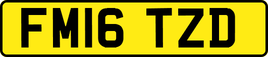 FM16TZD