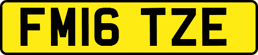 FM16TZE