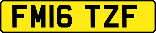 FM16TZF
