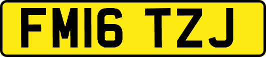 FM16TZJ