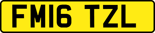FM16TZL