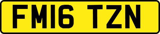 FM16TZN