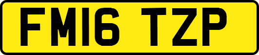 FM16TZP