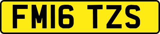 FM16TZS
