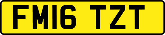 FM16TZT