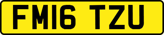 FM16TZU