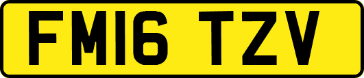 FM16TZV