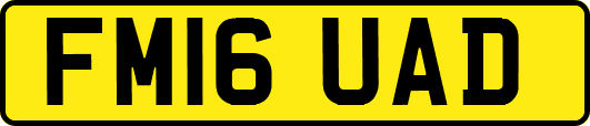 FM16UAD