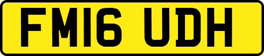 FM16UDH