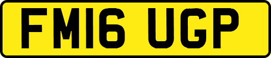 FM16UGP