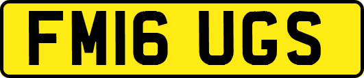 FM16UGS
